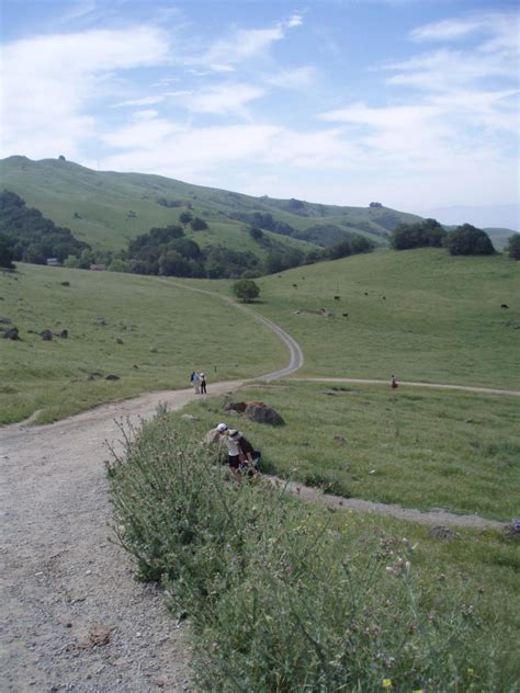 Mission Peak Mountain Bike Trail In Fremont California Singletrackscom