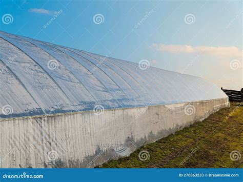 Polythene Tunnel Handmade Greenhouse Growing Vegetables In A