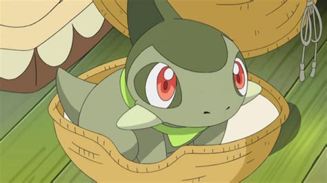 Axew - Pokémon Wiki - Wikia