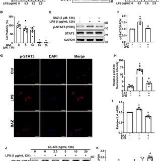 Bazedoxifene Attenuated Cardiac Inflammatory And Apoptosis Levels In