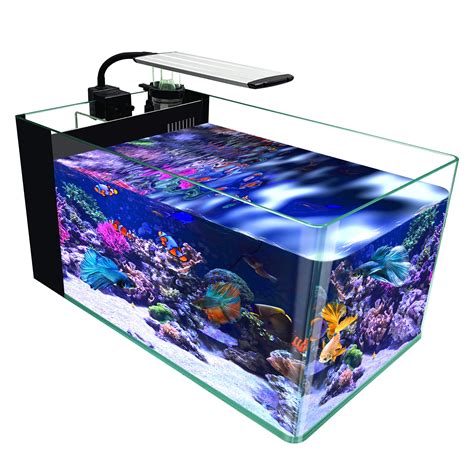 Buy 10 Gallon Curved Corner Saltwater Aquarium Rimless Low Iron