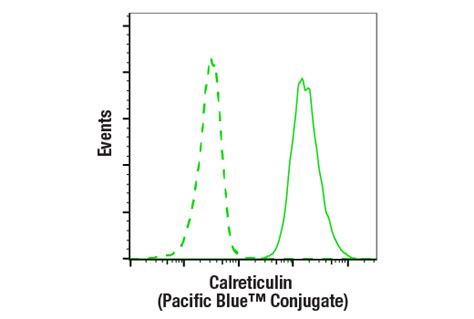 Calreticulin D E Xp Rabbit Mab Pacific Blue Conjugate Cell