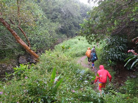 Best Hiking Trails Near Honolulu, Hawaii - Hawaii Partners 3D Wealth Advisors