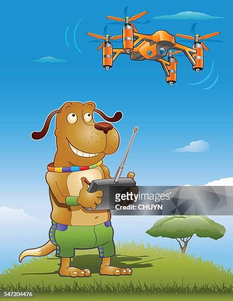 Drone Dog Photos And Premium High Res Pictures Getty Images
