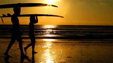 Surfer Couple In Silhouette Walking With Long Surf Boards At Sunset On