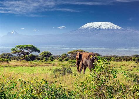 Mount Kilimanjaro National Park - Nature Responsible Safaris