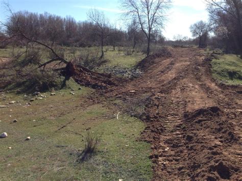 Sanci N Al Promotor De Una Plantaci N De Pistachos Por Arrasar El Soto