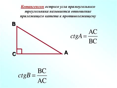 Тригонометрические функции острого угла прямоугольного треугольника ...