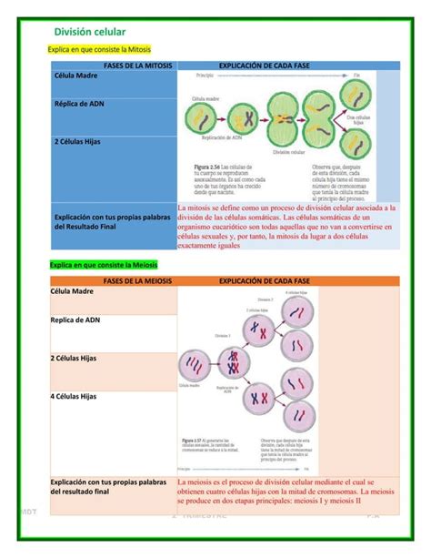 Cuadernillo Actividades Trimestre II Ciencias I PDF