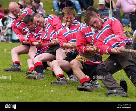 Dufftown Scotland July Tug Of War Contest At A Scottish