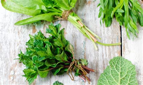 Great Ways To Use An Abundance Of Fresh Herbs