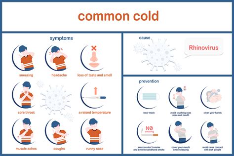 Infographic Illustration Of Symptoms Of Common Cold Flu Prevention And