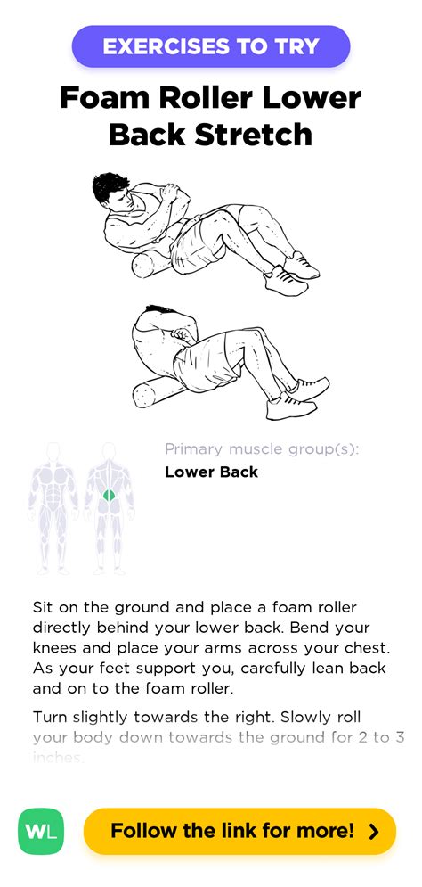 Foam Roller Lower Back Stretch – WorkoutLabs Exercise Guide