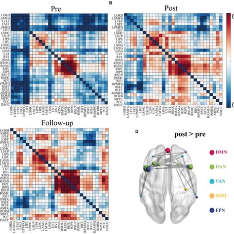 Functional Connectivity Matrices In Low Alpha Band Hz And