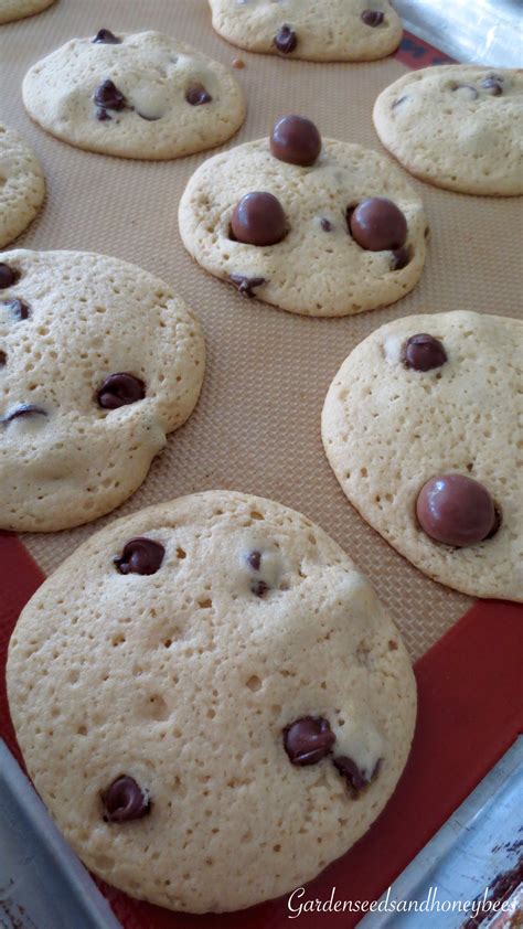 Malt Chocolate Chip Cookies - Garden Seeds and Honey Bees