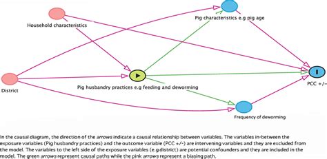 A Causal Model Diagram Showing The Potential Association Of Exposure