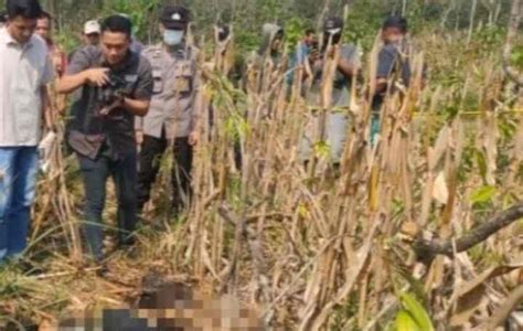 Berikut Hasil Autopsi Mayat Perempuan Setengah Telanjang Di Kebun