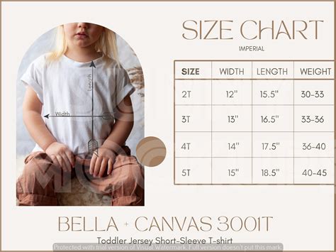 Bella Canvas T Mockup Size Chart Bella Canvas Size Chart Etsy