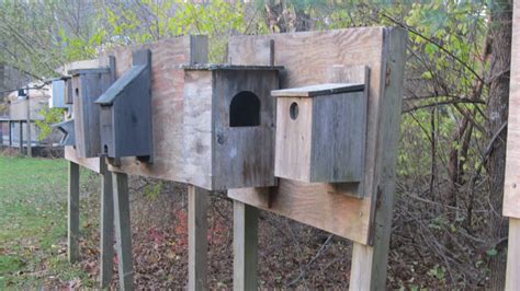 Bird Houses Pratt Nature Center