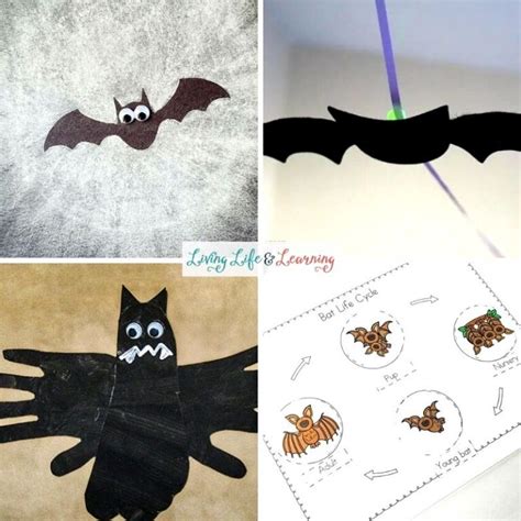 Bat Activities for Preschool