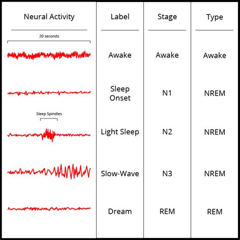 States of Consciousness | Noba