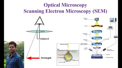 Optical Microscopy And Scanning Electron Microscopy Youtube