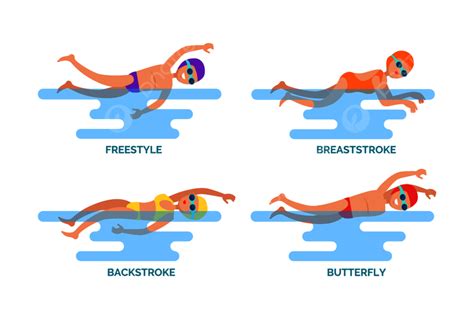 Butterfly Stroke Diagram