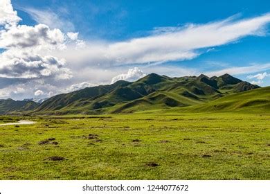 Grasslands Images, Stock Photos & Vectors | Shutterstock