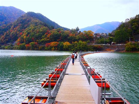 奥多摩湖・麦山の浮橋（ドラム缶橋） 東京とりっぷ