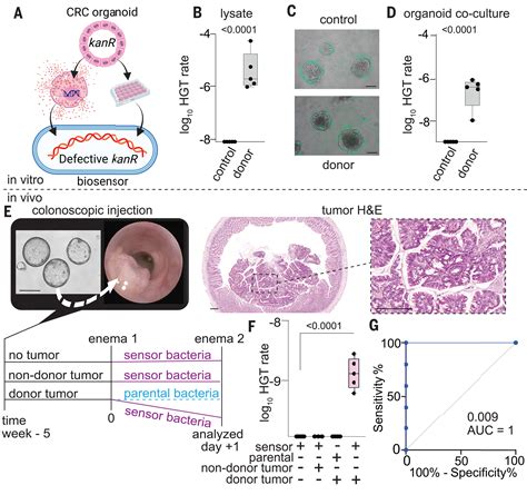 Engineered Bacteria Detect Tumor DNA Science