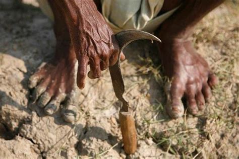 Farmers Suicides Maharashtra Karnataka Telangana Worst Affected 14 States Report No Suicide