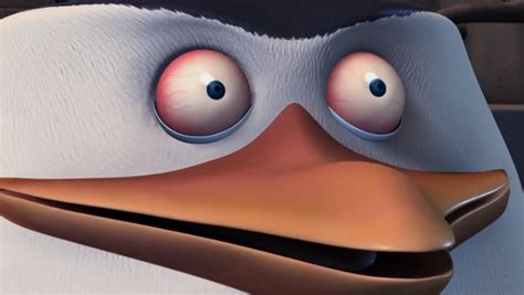 Pinterest Penguins Of Madagascar Funny Cartoon Photos Penguin Meme