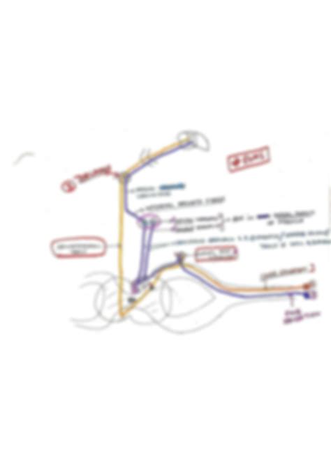 Solution Ascending Tracts Of Spinal Cord Anatomy Class X Xi Xii