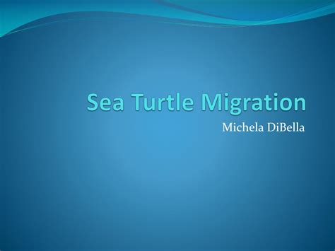 PPT - Sea Turtle Migration PowerPoint Presentation, free download - ID ...