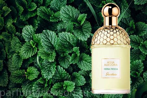 GUERLAIN AQUA ALLEGORIA HERBA FRESCA FOR WOMEN EDT 75 ML