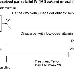 Study Design Paricalcitol Arm Paricalcitol Intra Venous Us And