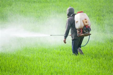 Unleashing The Power Of Biopesticides A Sustainable Solution