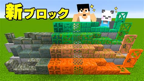 マイクラ1 21アプデで追加される新ブロック紹介します YouTube