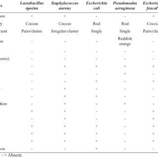 Colony Morphology And Biochemical Characteristics Of Bacteria Isolated