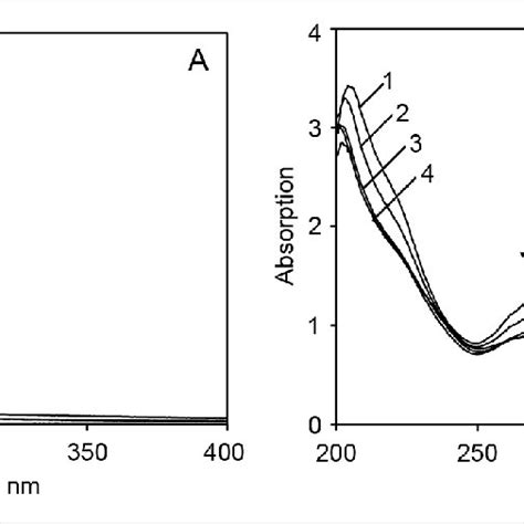 Spectral Changes During Aerobic Conversion Of Phthalic Acid By Resting