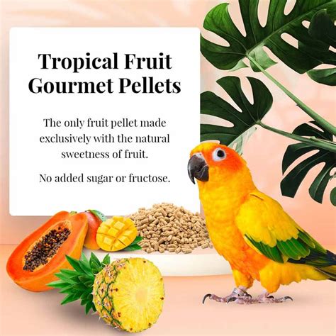 Conure Tropical Fruit Gourmet Pellets Lafeber Company