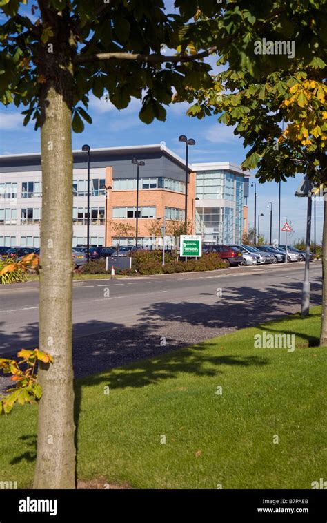 New Office Buildings At Hamilton International Business Park