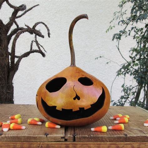 Halloween Gourd Jack O Lantern Natural Fall Harvest Pumpkin Etsy