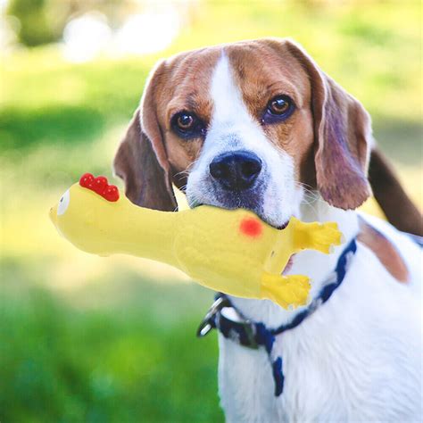 2 Stücke Huhn Spielzeug Hund Huhn Form Spielzeug Latex Hundespielzeug