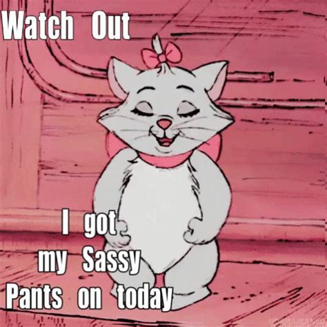 Sassy Fiesty GIF - Sassy Fiesty Cat - Discover & Share GIFs