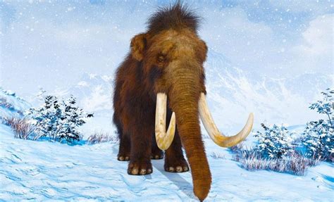 Woolly mammoth frozen skin has active DNA after 52,000 years - Earth.com