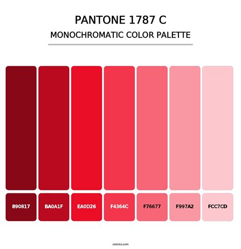 PANTONE 1787 C Color Palettes Colorxs