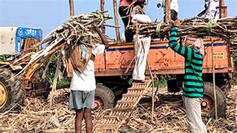 Maharashtra Sugar Industry Seeks Policy Revisions Financial Support To