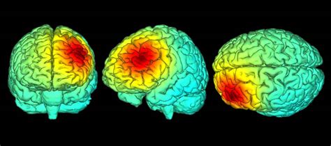 C Mo Modular Las Predicciones Emocionales Con Estimulaci N Cerebral No