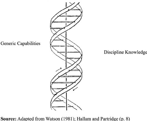 The Double Helix Of The Library And Information Professional Download Scientific Diagram